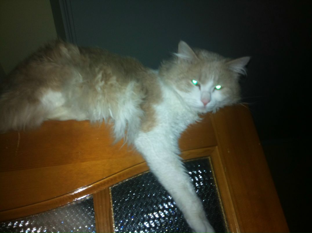 Дияр Bektassov Dixon™ | Алматы