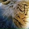 №37 Виктория Бахарева 04.04.1996: профиль, фото, статус - ВКонтакте