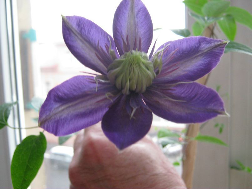 Людмила Родионова | Санкт-Петербург