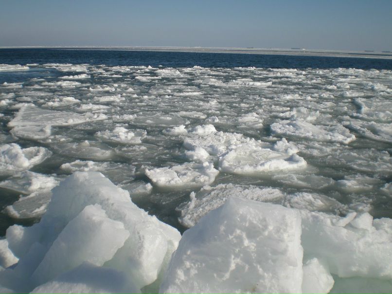 Екатерина Марченко | Одесса