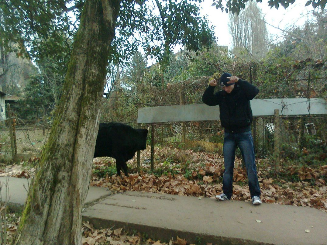 Николай Головин | Сочи