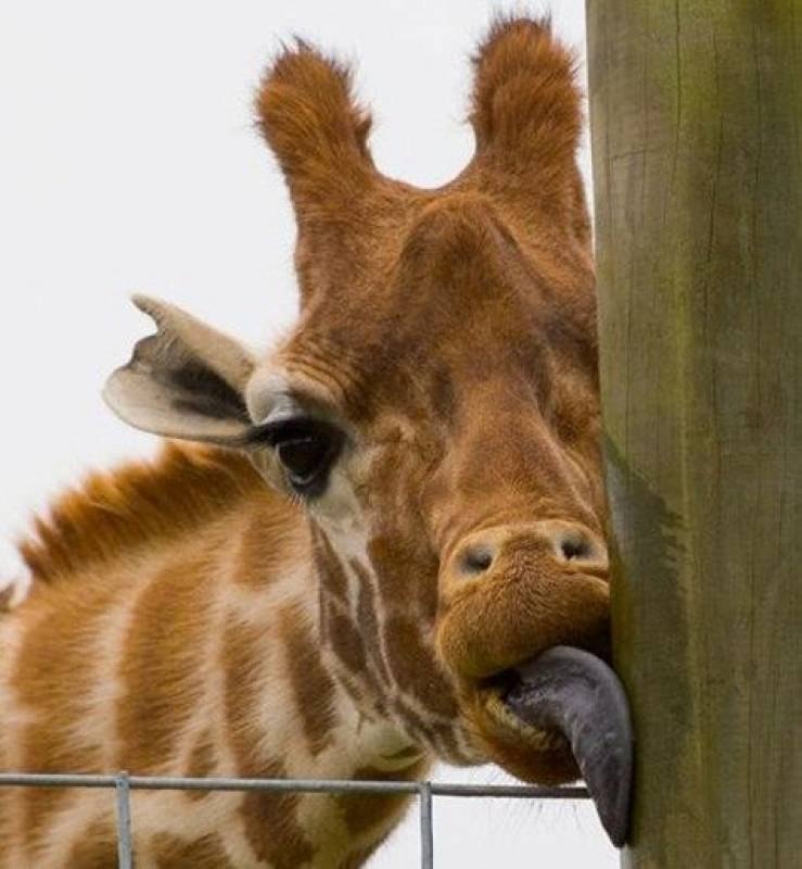 Катерина Сердюк | Ростов-на-Дону