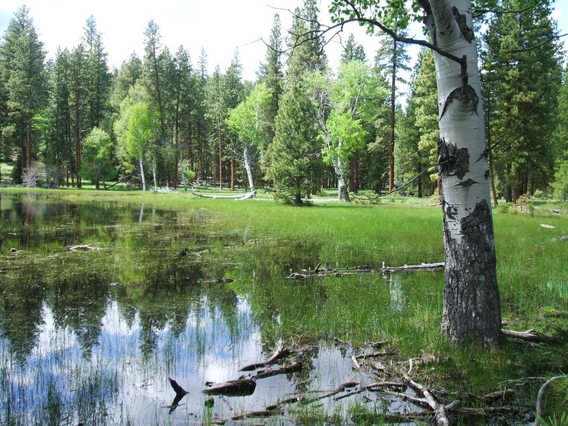 Анна Панна | Полтава