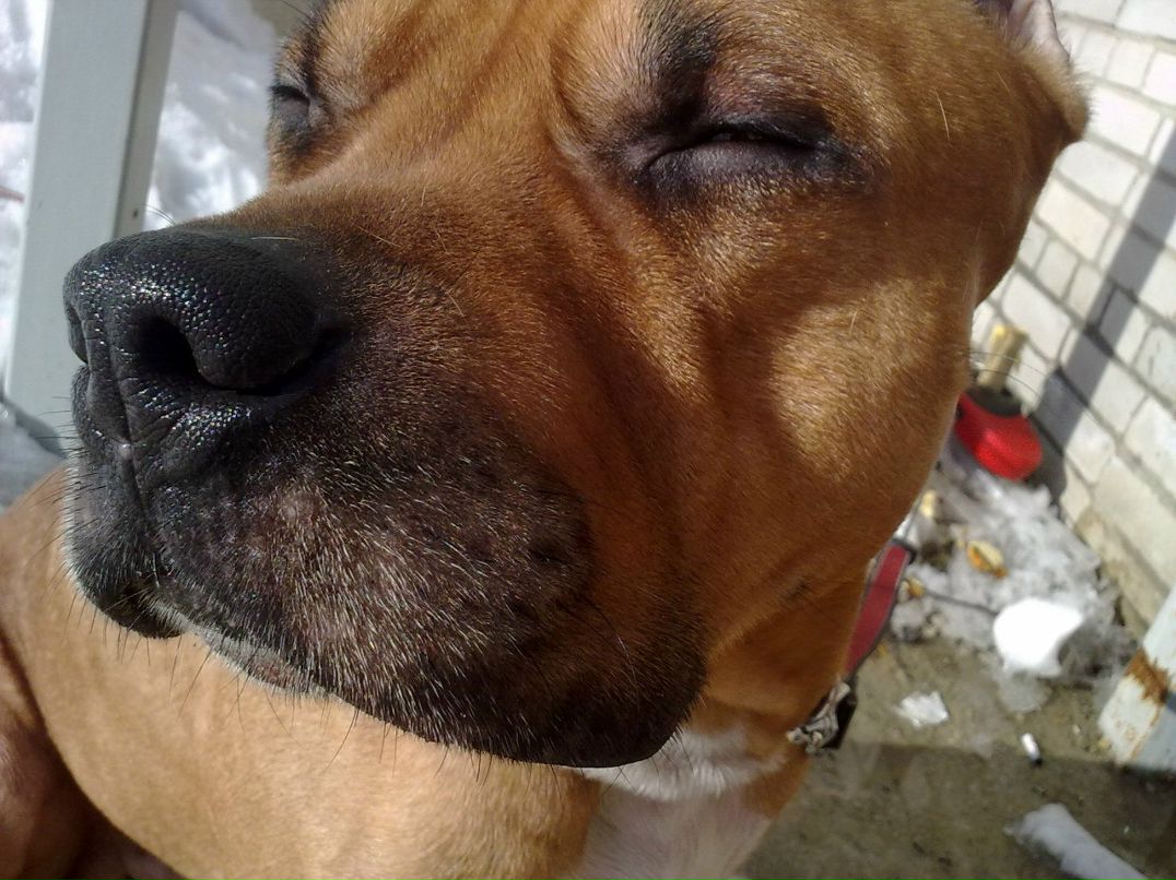 Юра Потапов | Сыктывкар