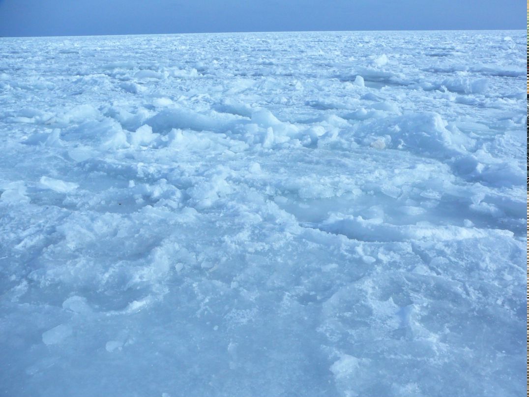 Oleg Мовчан | Одесса