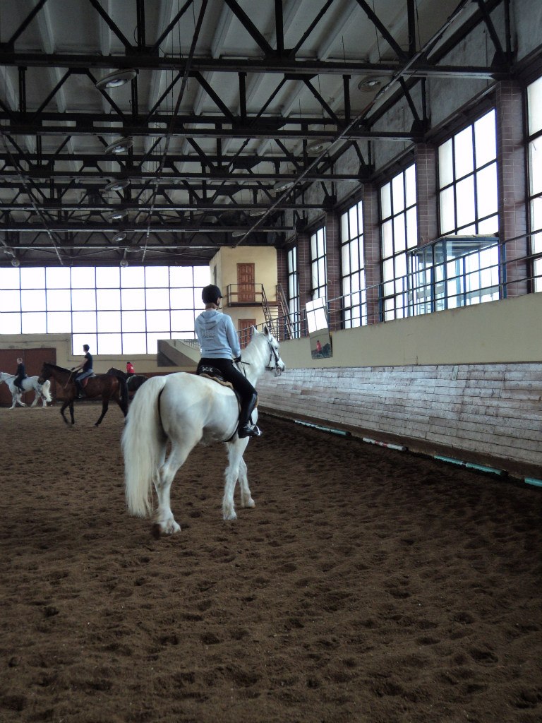 Екатерина Андреева 