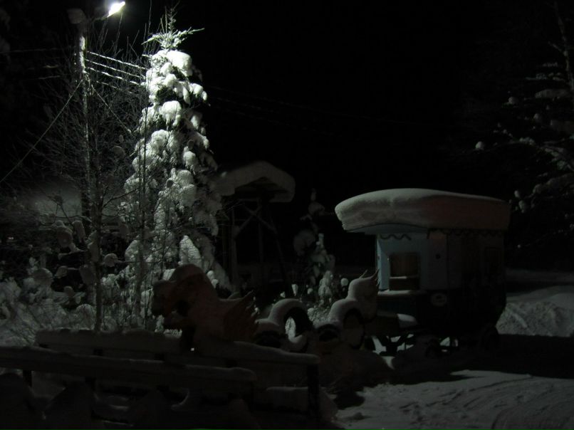 Алексей Алтухов | Воронеж