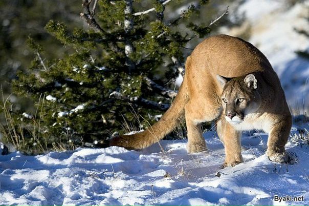 №49, Ка Ртины, Краснодар №49, Ка Ртины, Краснодар