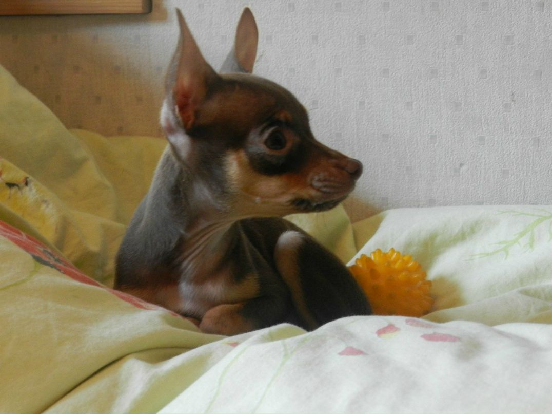 Ирина Николаенко | Киев