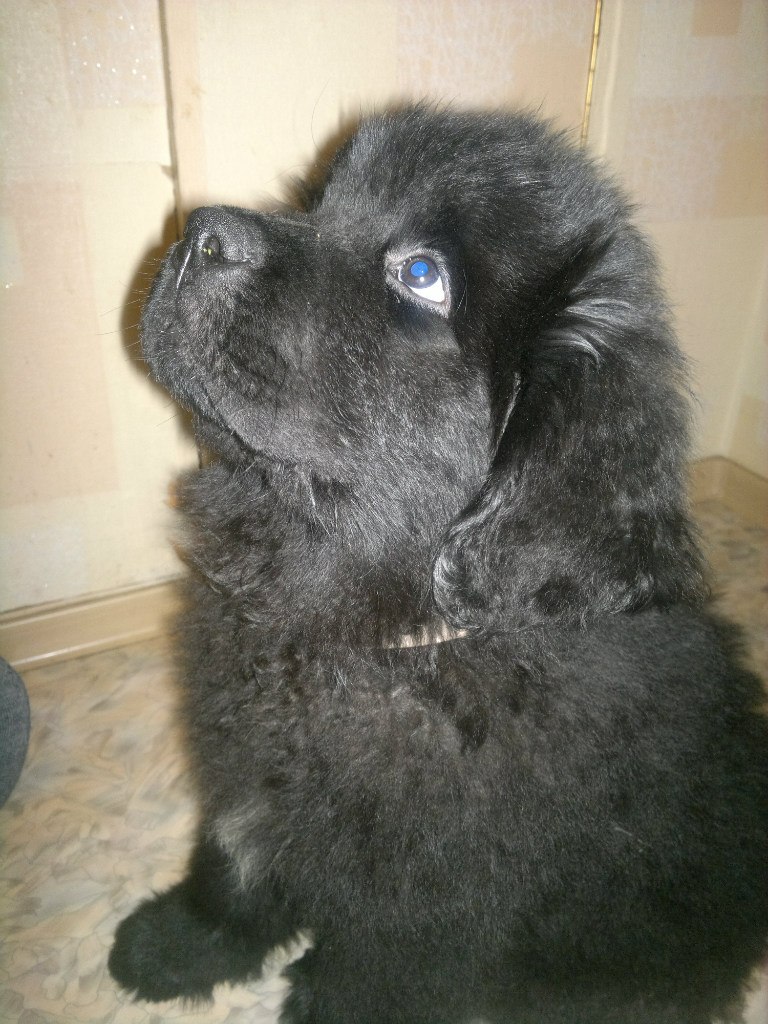 Андрей Краснопёров | Томск