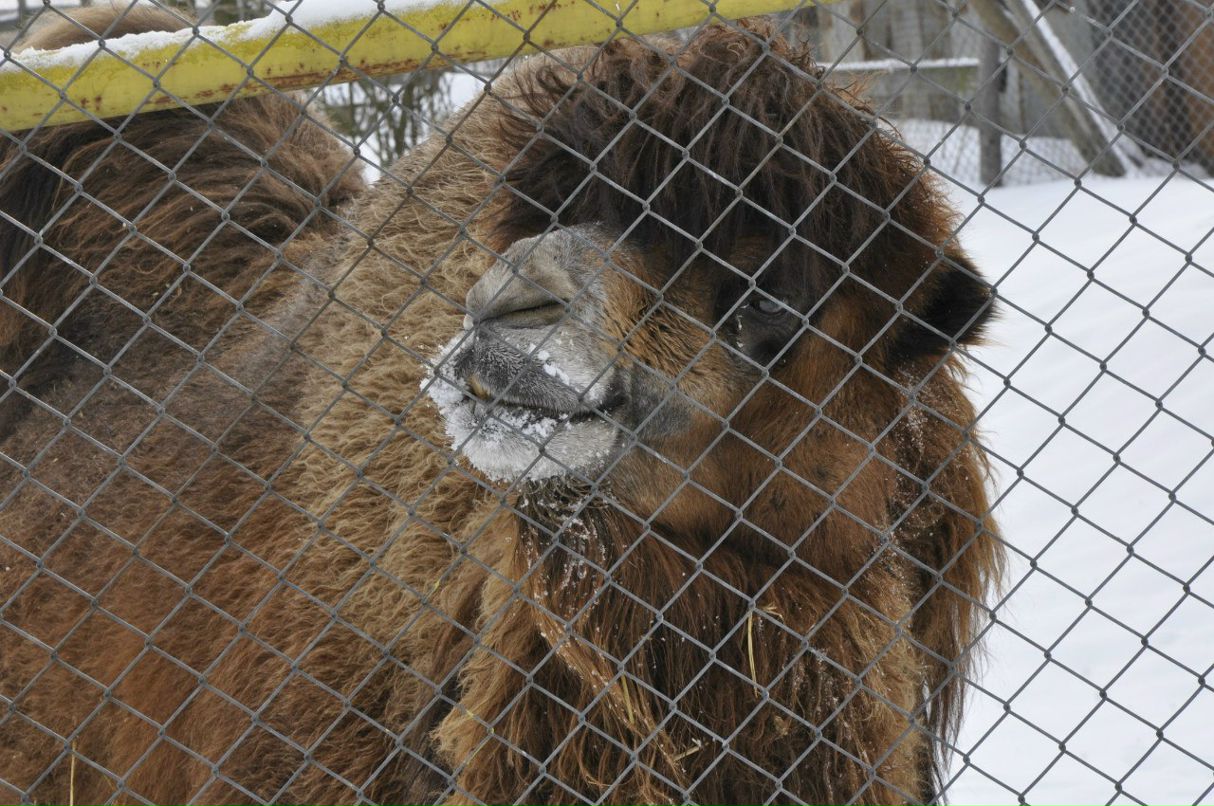 Алексей Помогаев | Одесса