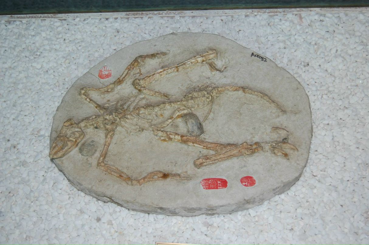 Vadim Plantagenets ~LimoN~ | Санкт-Петербург