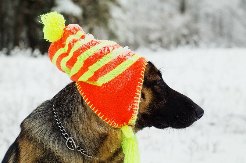Анатолий Кондрашин | Славянск