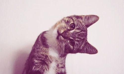 Аня Никитина *-* | Великий Новгород