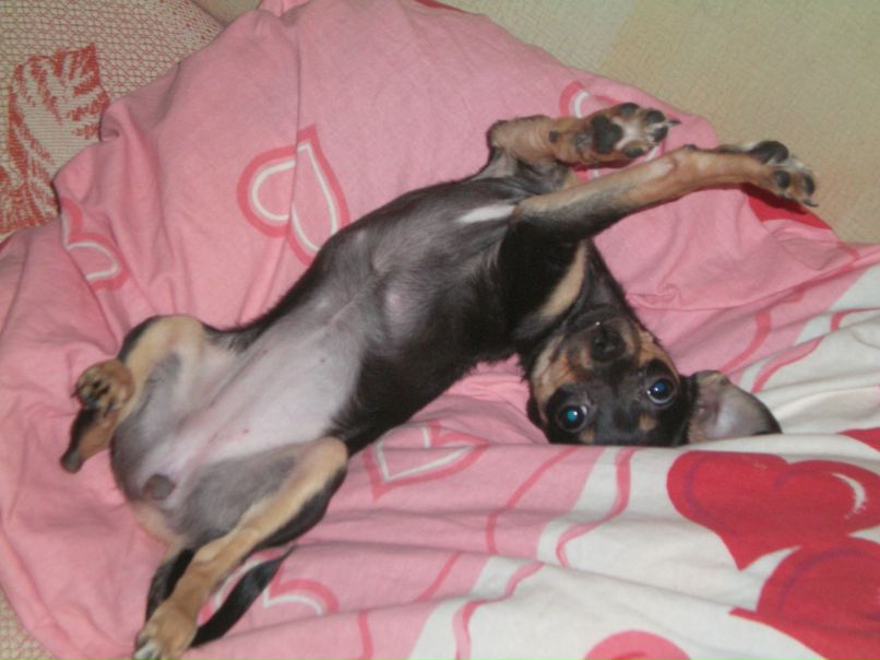 Наталья Демидова | Тюмень