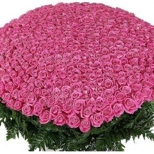 Наталья Наталья | Москва