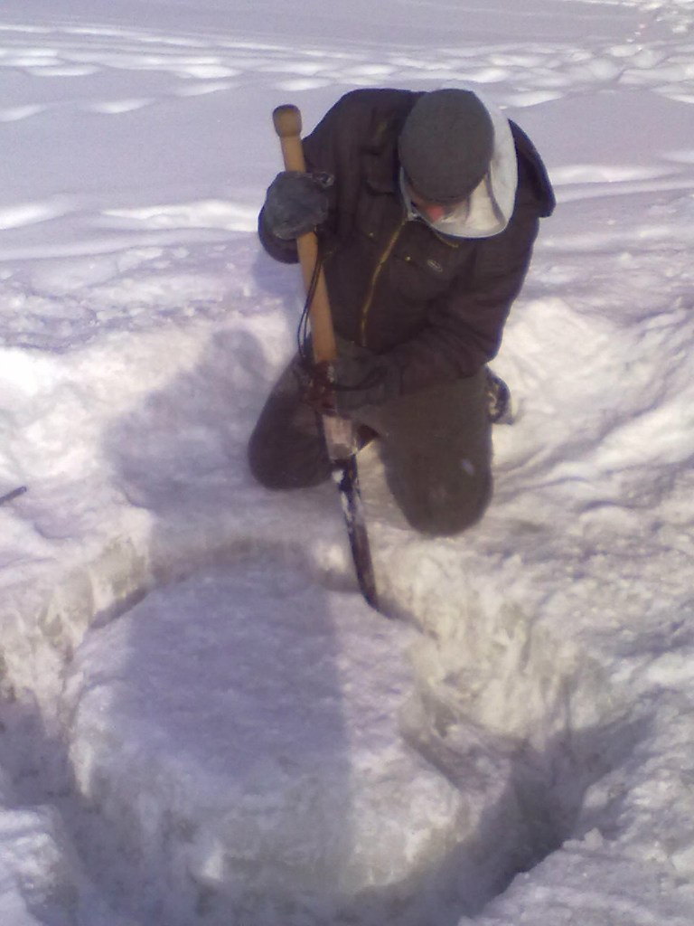 Саша Гутник | 