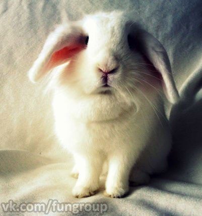 Кристина Романюк | Одесса