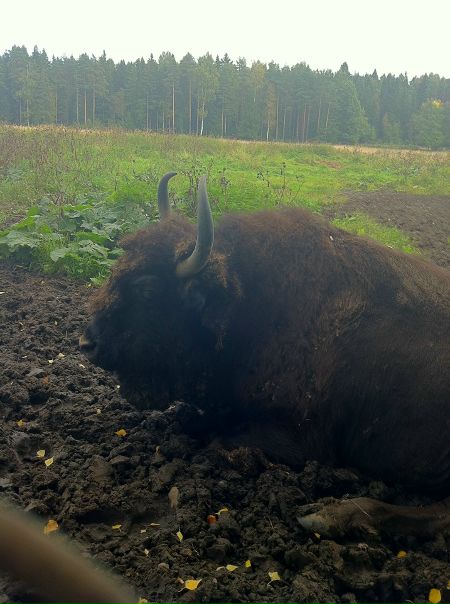 №16, Татьяна Цирульник, Санкт-Петербург №16, Татьяна Цирульник, Санкт-Петербург