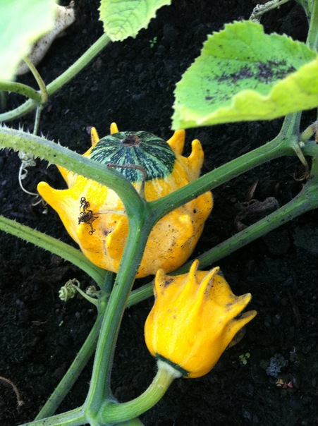 №69, Татьяна Цирульник, Санкт-Петербург №69, Татьяна Цирульник, Санкт-Петербург