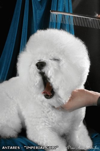 №17, Дарья Тюрина №17, Дарья Тюрина