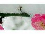 Ксения // | Кунгур (деревня)