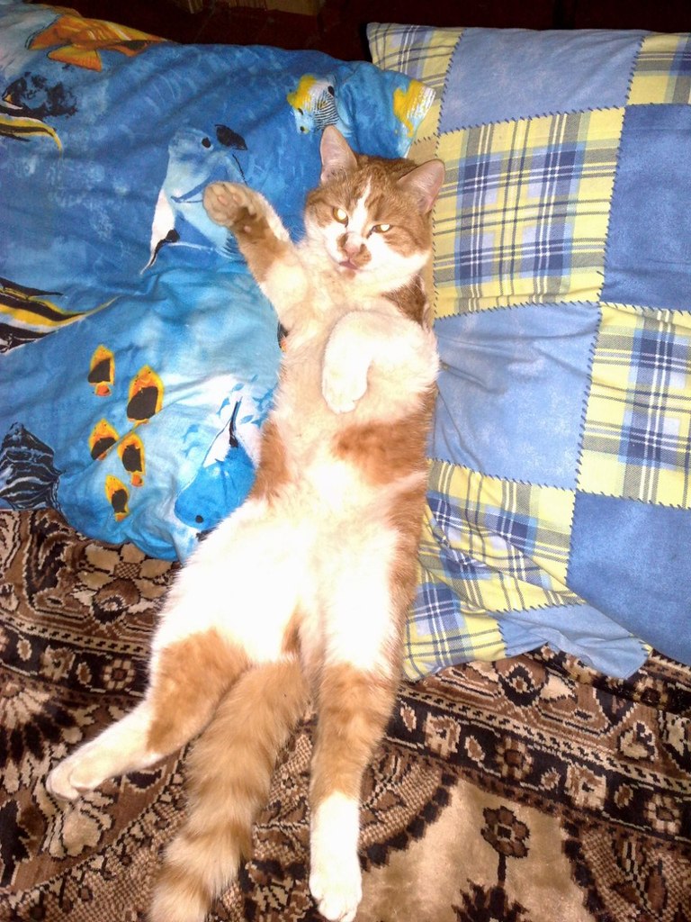 Элла Кузьменко | Кременчуг