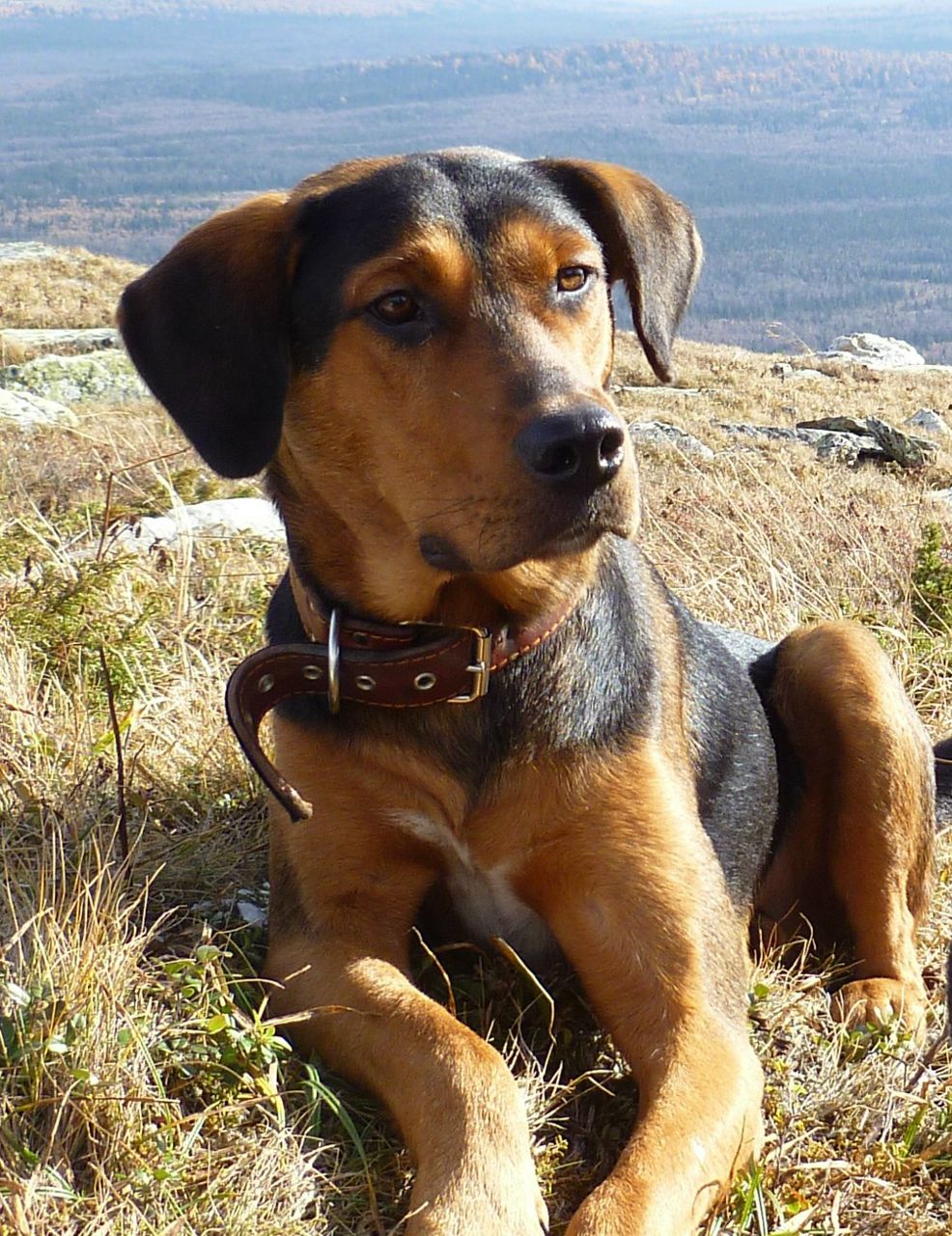 Екатерина Саитова | Челябинск