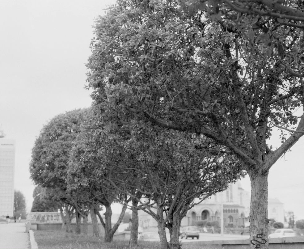 Андрей Друм | Пермь