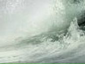 Анна Митрохина | 