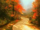 №34 Катя Борисова : профиль, фото, статус - ВКонтакте