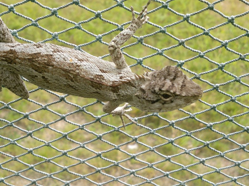 Паша Горячкин | Самара