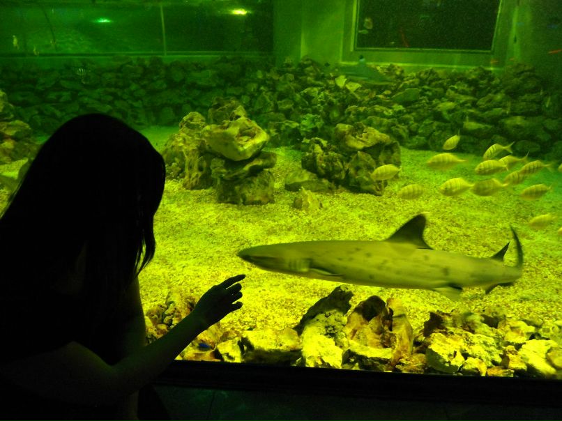 Наталья Гончаренко | Хатукай