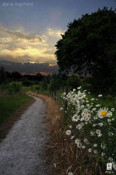 №88, Наталья Гажа, Харьков №88, Наталья Гажа, Харьков