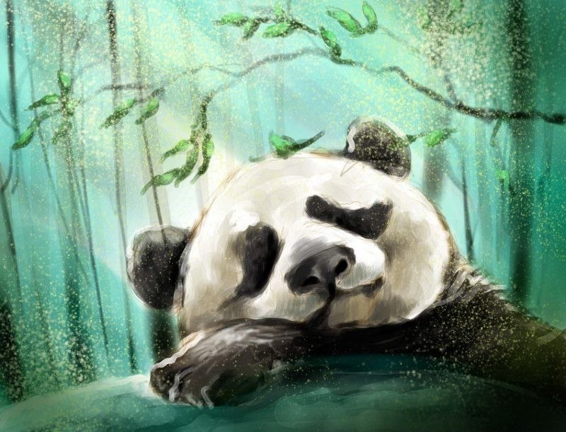 Роберт Сагадатов | 