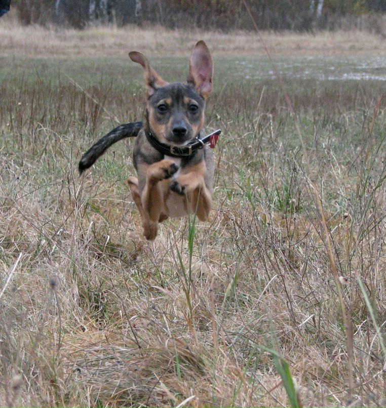 Андрій Годун | Киев