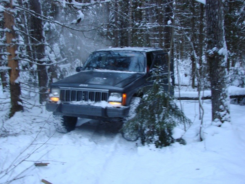 Александр Гурвич aDr | Санкт-Петербург