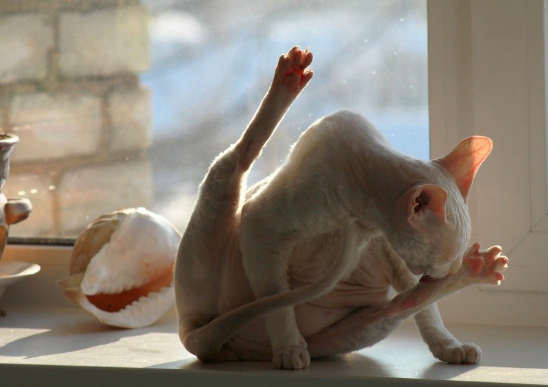 Екатерина Галактионова | Тольятти