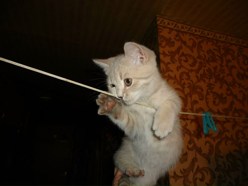 Таня Лаврушина | Нижний Новгород