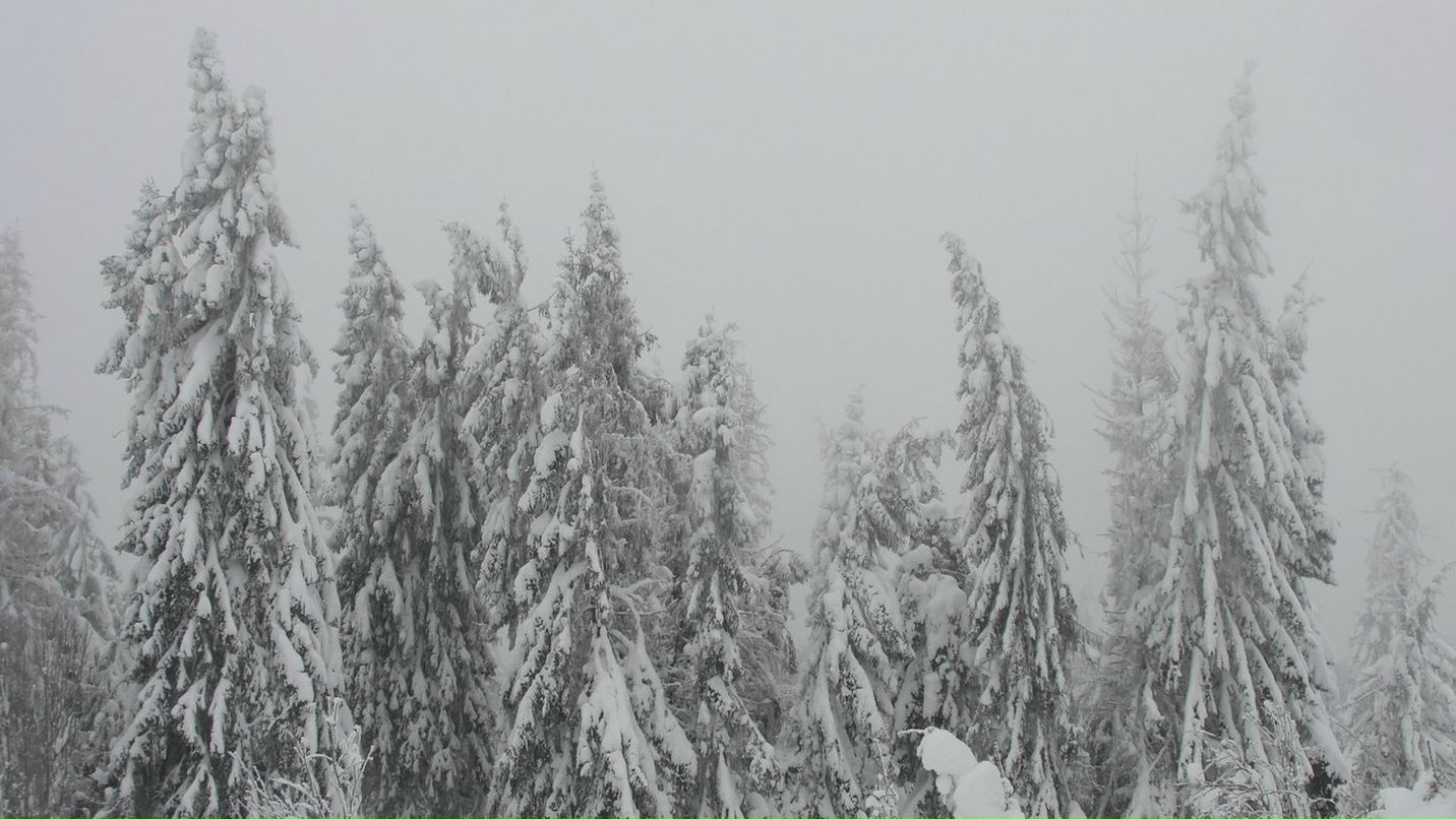 Кирилл Подорожный ~X-RaY~ | Харьков