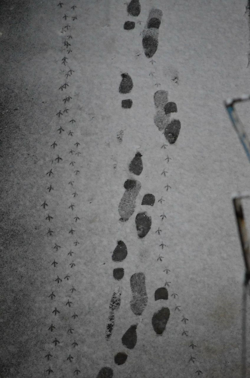 Стас Балакшин | Москва