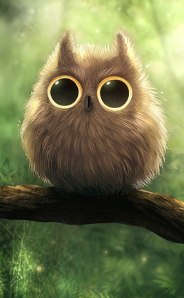 Максим Котков | 