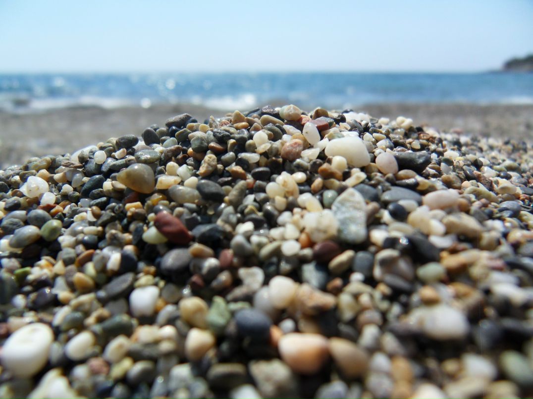 Лена Асеева | Санкт-Петербург