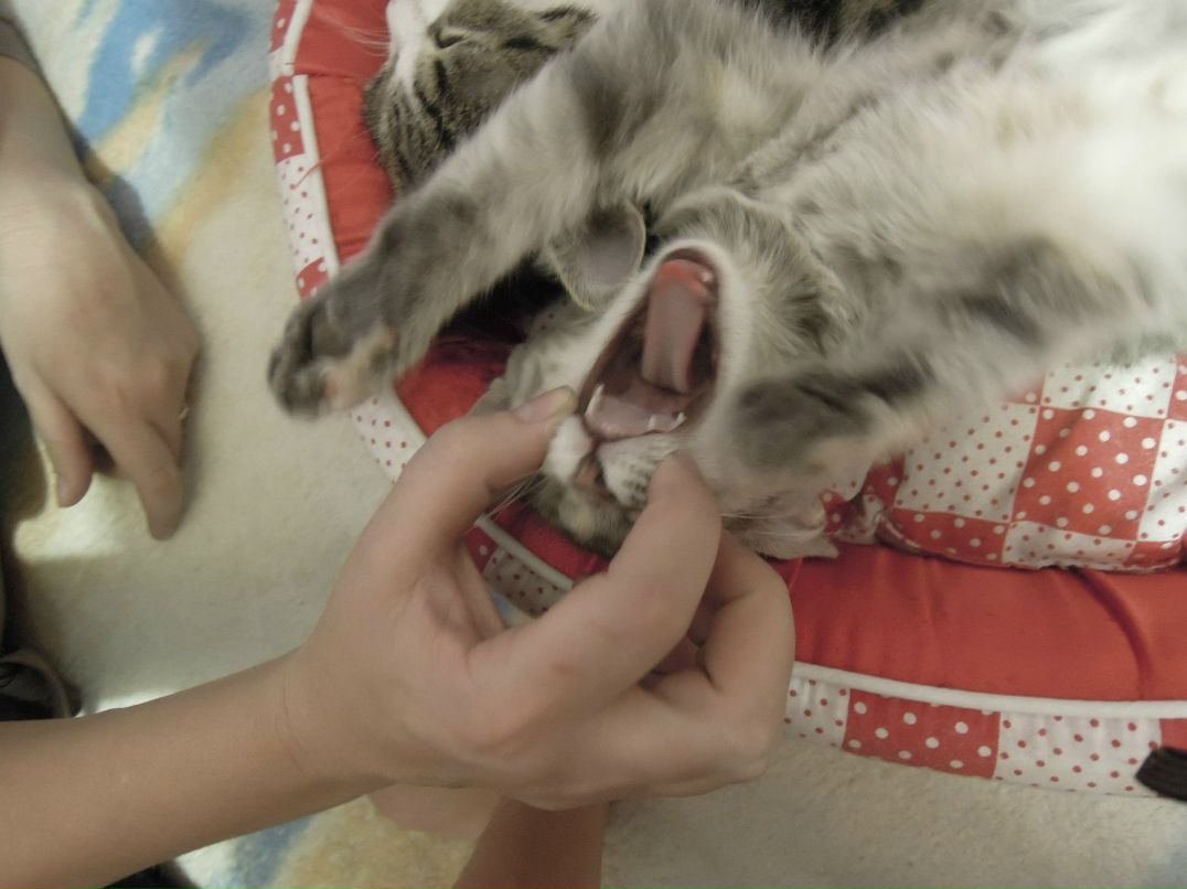 Александр Темашев SanchoED | Уфа