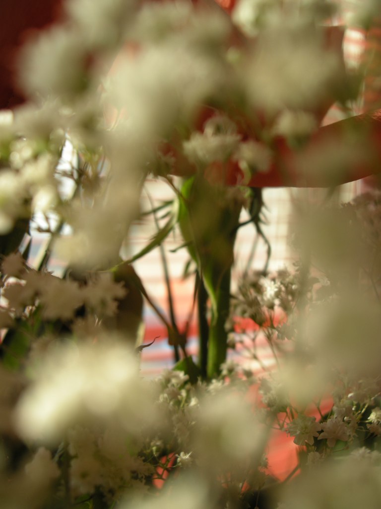 Светик Shaiybakova | Санкт-Петербург