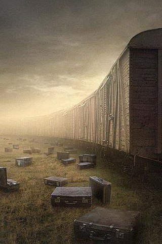 Алексей Madcool | 