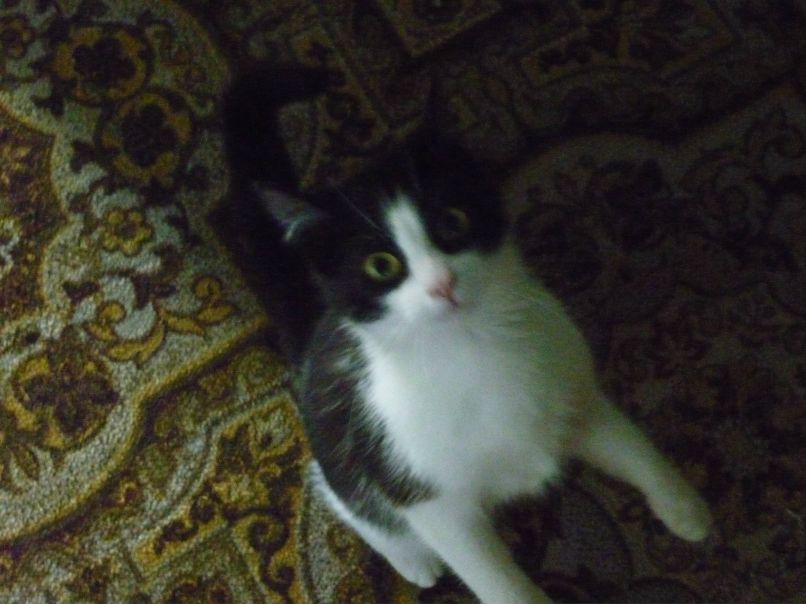 Светлана Кузьмина | Малая Вишера