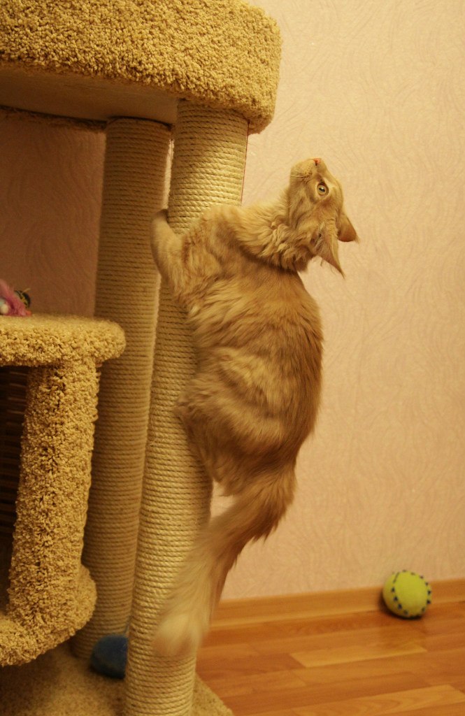 Екатерина Нестеренко | Санкт-Петербург