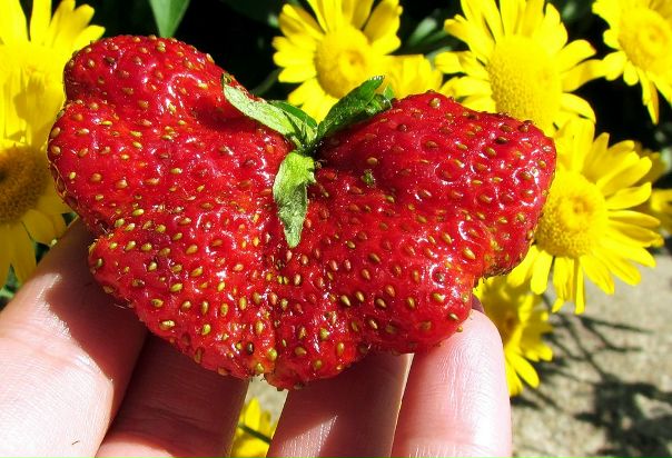 №10, Ирина Соковнина, Одесса №10, Ирина Соковнина, Одесса