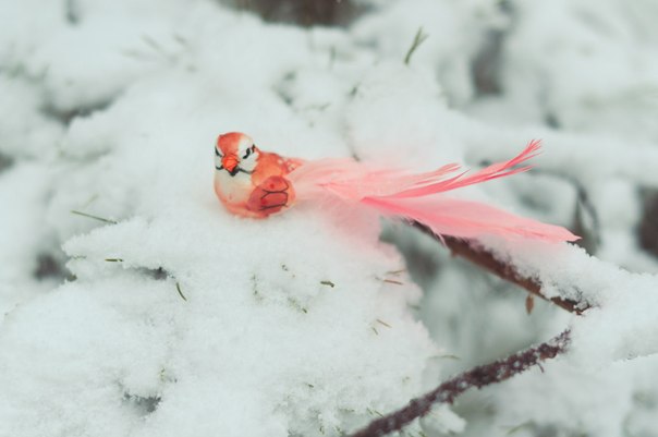 №59, Лена Клепикова, Екатеринбург №59, Лена Клепикова, Екатеринбург